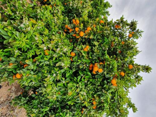 WhatsApp Image 2022-11-13 at 19.25.31