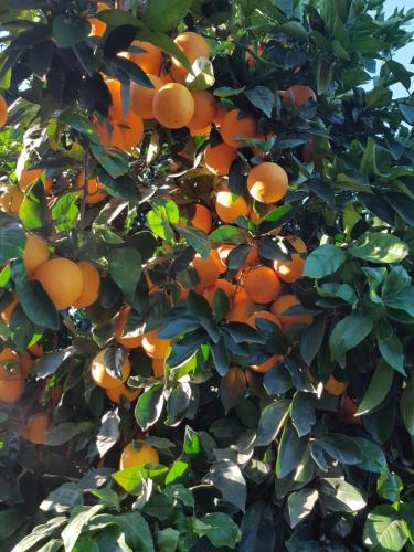 WhatsApp Image 2022-11-13 at 19.25.41